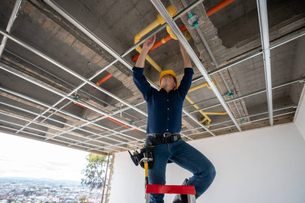 Best Clogged Drain Plumber  in Springhill, LA